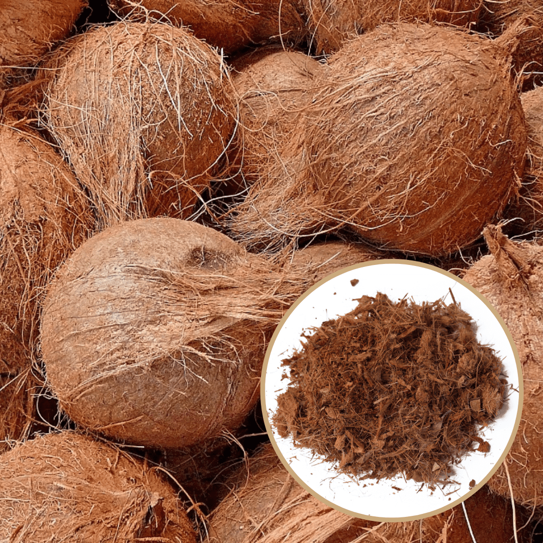 Fibra de coco