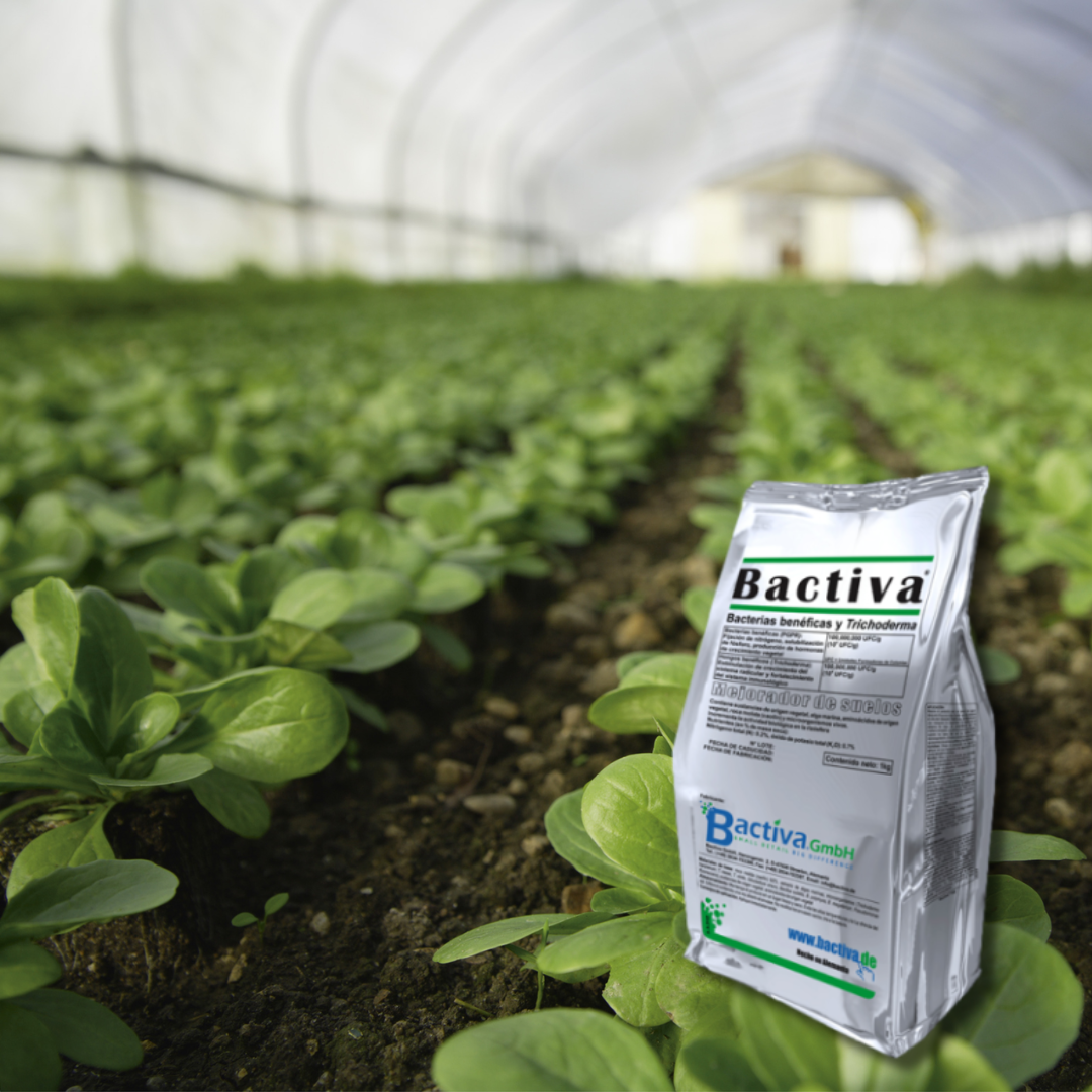 Biofungicidas