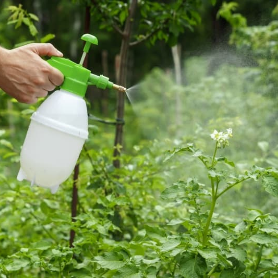 Bioinsecticidas
