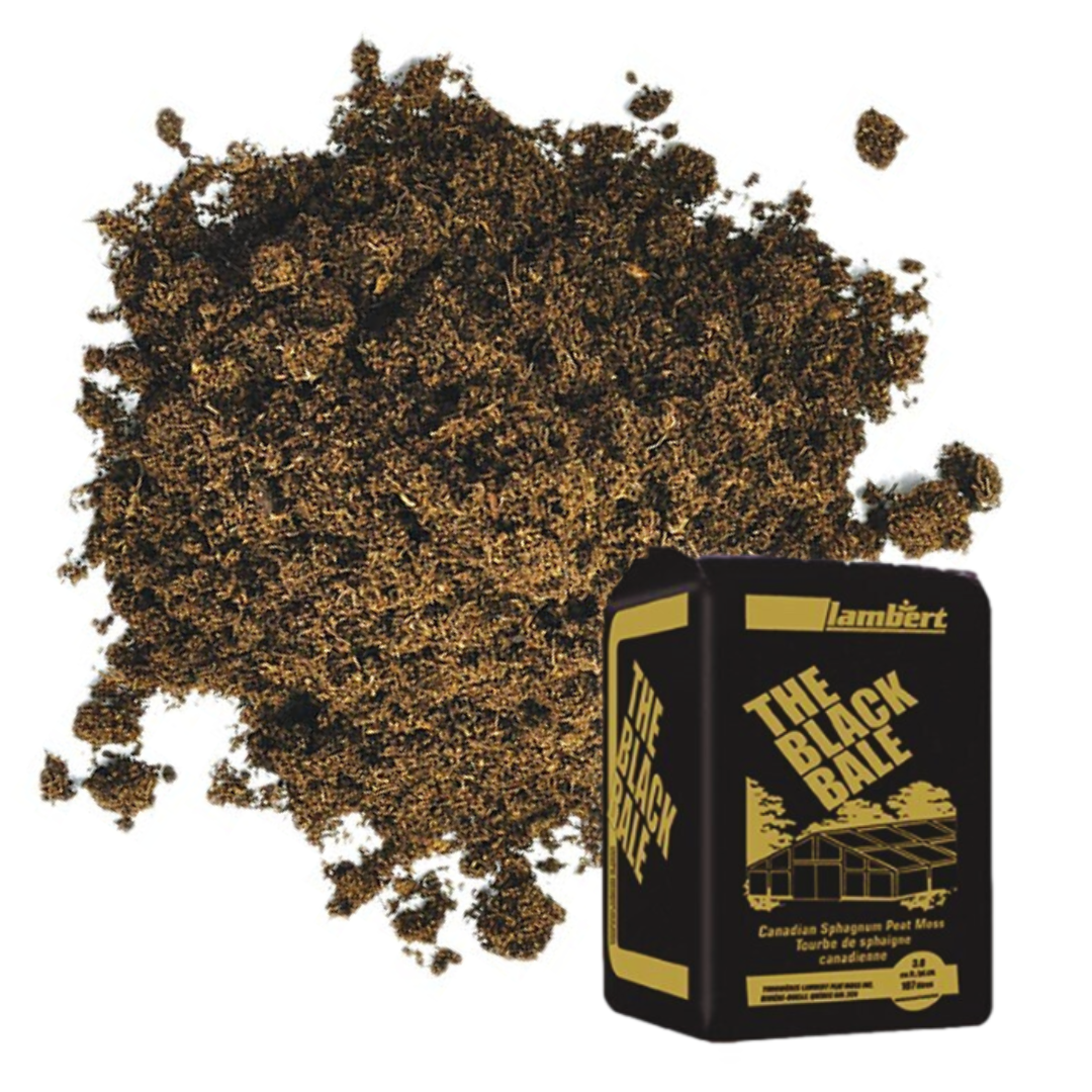 Peat Moss